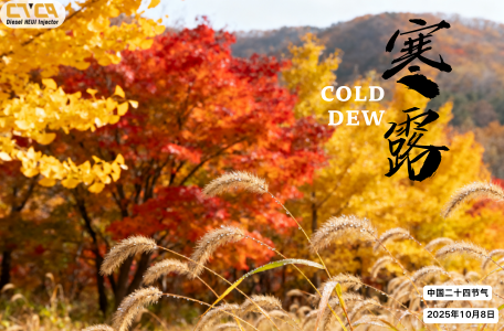 Cold Dew Special Sale on the 328-2574 HEUI Injector